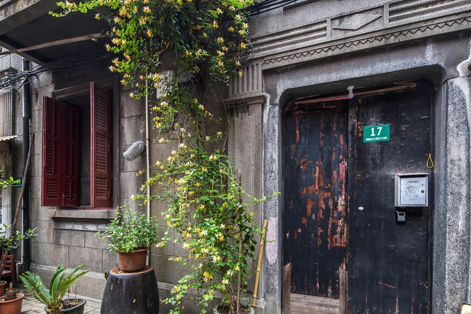 Jingfei's Zhangyuan Branch Shanghai